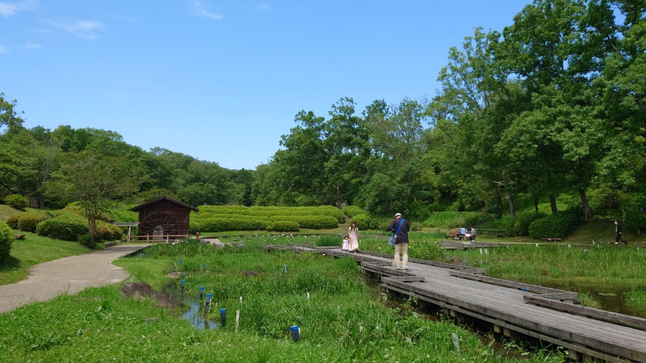 【歴史と季節を楽しむ】奈良県立大和民俗公園