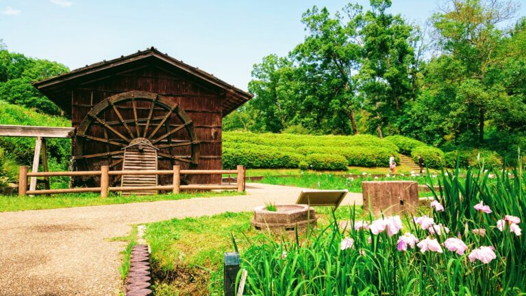 初夏 大和民俗公園を散策 紫陽花や菖蒲が見ごろ