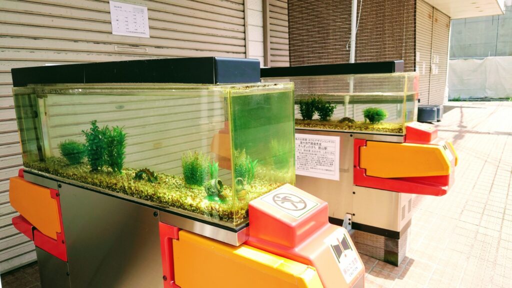 金魚の街 大和郡山市の金魚がいるカフェ