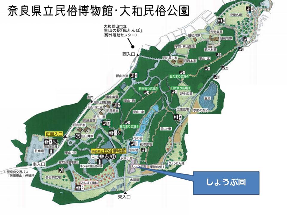 【初夏】大和民俗公園を散策！紫陽花や菖蒲が見ごろ！