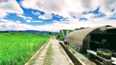 【奈良県大和郡山市】野菜と果物の直売所6店舗の評価とまとめ！